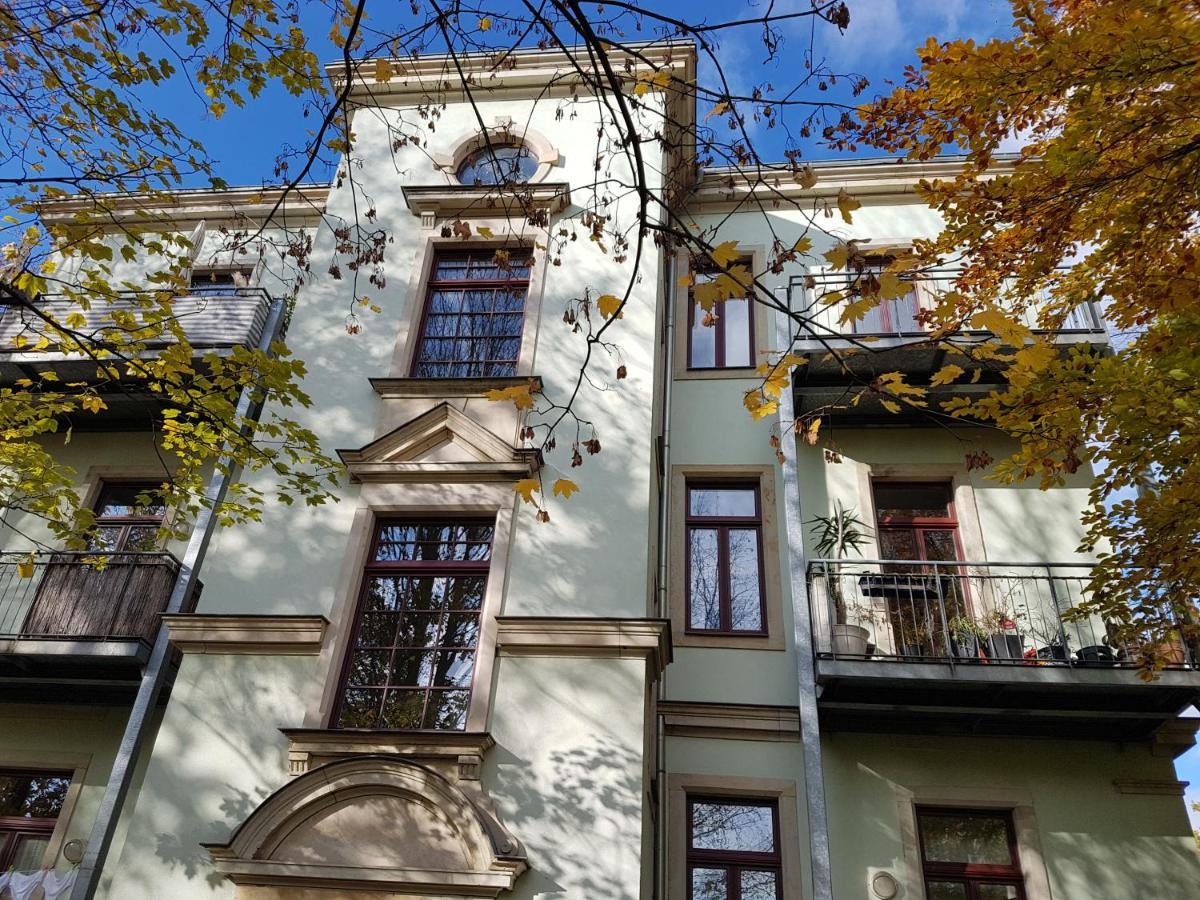 Stilvolle 1-Raum-Wohnung Zentral, Ruhig Gelegen Dresden Dış mekan fotoğraf