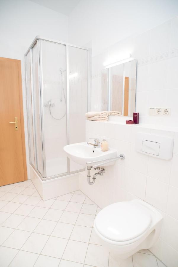 Stilvolle 1-Raum-Wohnung Zentral, Ruhig Gelegen Dresden Dış mekan fotoğraf